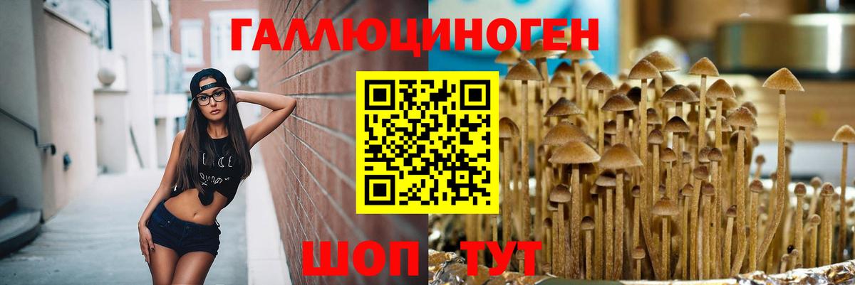 Луга  Галлюциногенные грибы мицелий  Вход с VPN  Псилоцибиновые грибы Magic Shrooms 